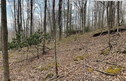 100 Fireweed Lane, Beech Mountain, NC 28604