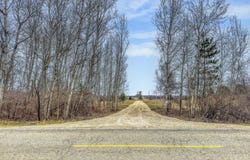 8692 E Baseline Road, Mount Pleasant, MI 48858