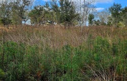NHN Hwy 11, Poplarville, MS 39470