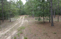 1409 Robinson Town Road 3, Cassatt, SC 29032