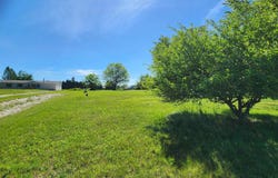 8029 Cherry Avenue, Rapid City, MI 49676