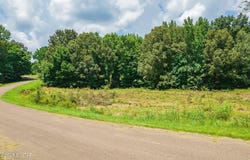 0 Hwy 22, Dresden, TN 38225