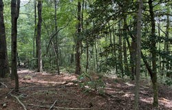 Lot 18 Larue Lane, Ellijay, GA 30540