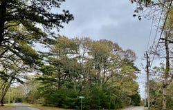 2 Carolines Way, Orleans, MA 02653