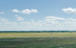 Tbd 201acres County Road 419, Rochelle, TX 76872
