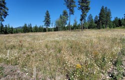 Hwy 95 Lot 6, Plummer, ID 83851