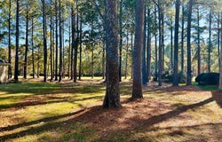11 Croatan Road lot: E-11, Hertford, NC 27944