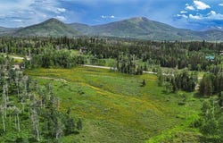 59395 CRIPPLE CREEK COURT, Clark, CO 80428