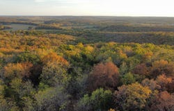 S 90th Road, Flemington, MO 65650