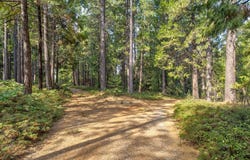Mtn Dew Lane, Somerset, CA 95684
