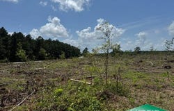 0 Hwy 155, Quitman, LA 71268