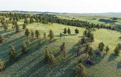 Lame Johnny Road, Fairburn, SD 57738