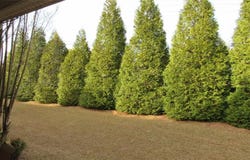 238 Valley Hill Road, Riverdale, GA 30274