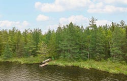 TBD Wilderness, Crystal Falls, MI 49920