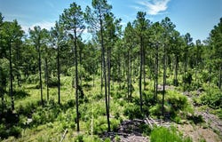 000 William Colvin Road, Bernice, LA 71222