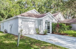 15120 DEER MEADOW Drive, LUTZ, FL 33559