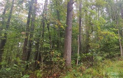 Wildwood Lane, Troy, NC 27371
