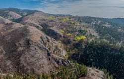 Packer Gulch Road, Drummond, MT 59832