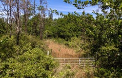15-1899 31ST AVE, Keaau, HI 96749