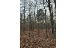 Polk Road 197, Mena, AR 71953