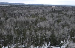Tbd Marengo River Road E, Marengo, WI 54855