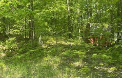 5403 E Circle Drive, Rose City, MI 48654