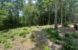 Lot 56 Nathaniels Way, Blairsville, GA 30512