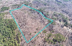 Tall Pines Road, Ashland, MS 38603