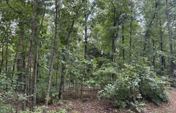 Mountain View, AR 72560