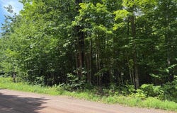 On Shotgun Rd, Ironwood, MI 49938