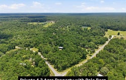 74 NE 395th Ave, Old Town, FL 32680