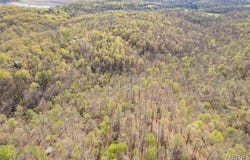 0 Highway RA, Piedmont, MO 63957