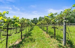 2575 CR 2474, Mineola, TX 75773