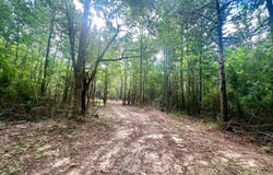 0000 CO RD 54, PARCEL #4, Haleyville, AL 35565