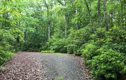 Tbd Forest Park Lane, Fancy Gap, VA 24328