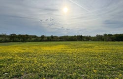 121 Decker Springs Rd, Elizabethtown, IL 62931