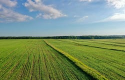 TBD Hwy 14, Allison, IA 50602