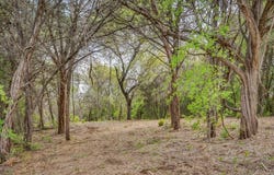 4923 Shining Star Trail, Rio Vista, TX 76093