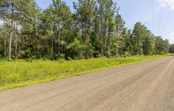 LOT 29 & LOT 30 Eagles Nest, Broaddus, TX 75929