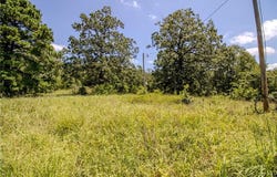 370 Pinewood  CIR, Delaware, AR 72835