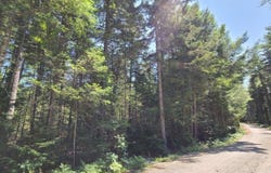 180 Sandy Beach Lane, Otis, ME 04605