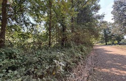 Gaylor Rd, Mountain View, AR 72560