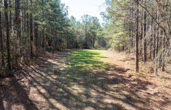 0 Gum Swamp Rd, Greenville, FL 32331