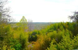 3425 RONLEA CIRCLE, VESTAVIA HILLS, AL 35243