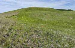 Nka Jacksha, Moscow, ID 83843
