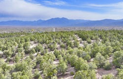 Tbd Miranda Canyon Road, Ranchos de Taos, NM 87557