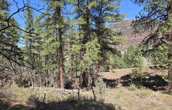 238 Pine Ridge, Ridgway, CO 81432