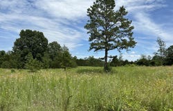 676 County Road 403, Alton, MO 65606
