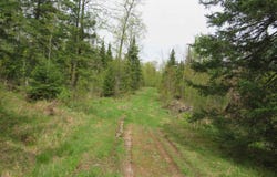 TBD Section 16, Covington, MI 49919