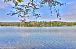 Lot 8 Spring Crossing Drive, Spring City, TN 37381